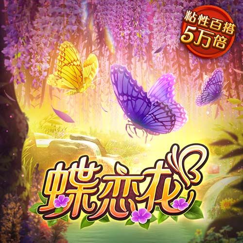BoB体育官网入口